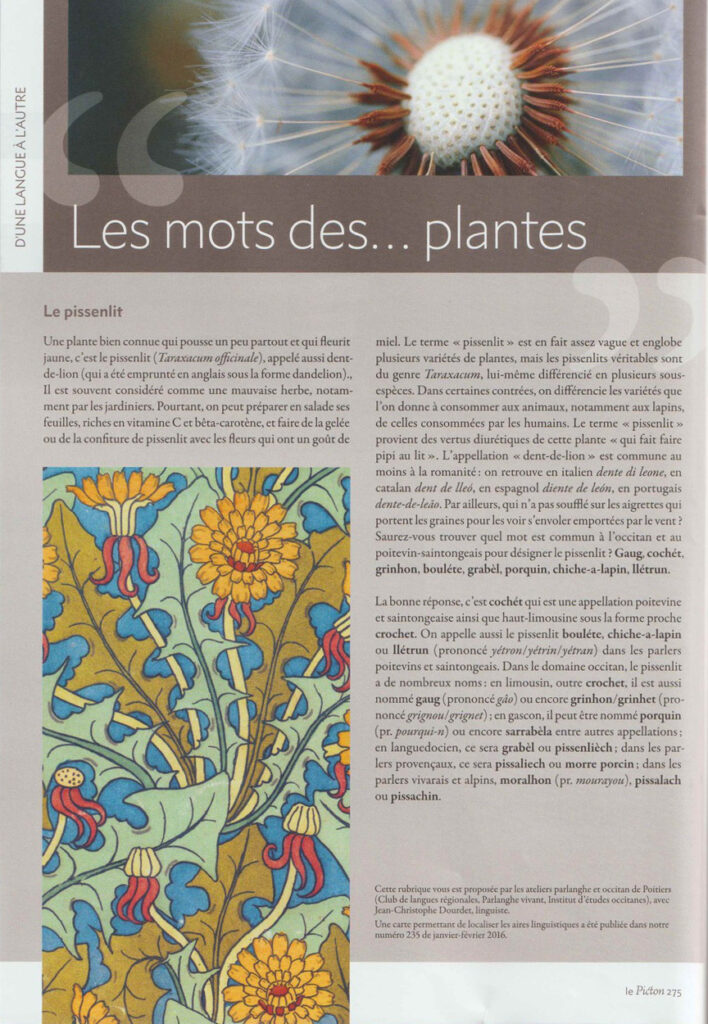 Les mots des plantes